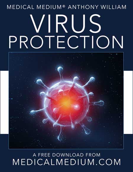 download virus protection free