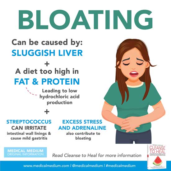 HOW TO REDUCE BLOATING. Bloating can be uncomfortable and…, by Sorich  Organics