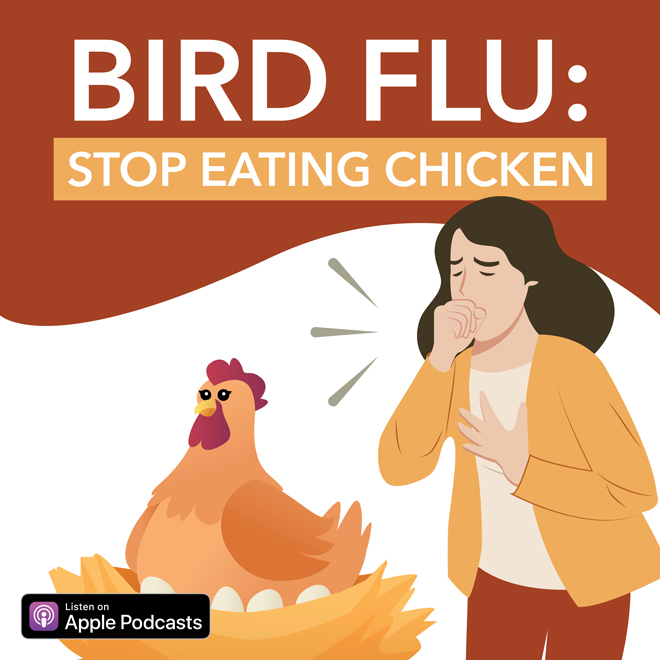 Bird Flu: Stop Eating Chicken