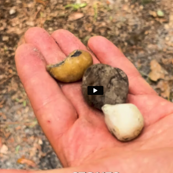 Collecting Stones Meditation Journey - Medical Medium